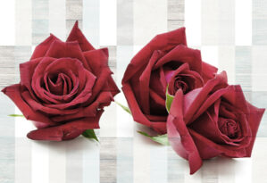 3 Rosas rojas. Mural cerámico 2 azulejos. 3 red roses
