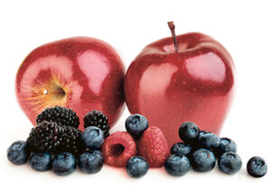 Manzanas, moras, frambuesas y arándanos, mural cerámico 2 azulejos. Tiles Apples and Berries.